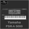 kompatibel zu Yamaha PSR-A 5000