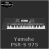 kompatibel zu Yamaha PSR-S 975