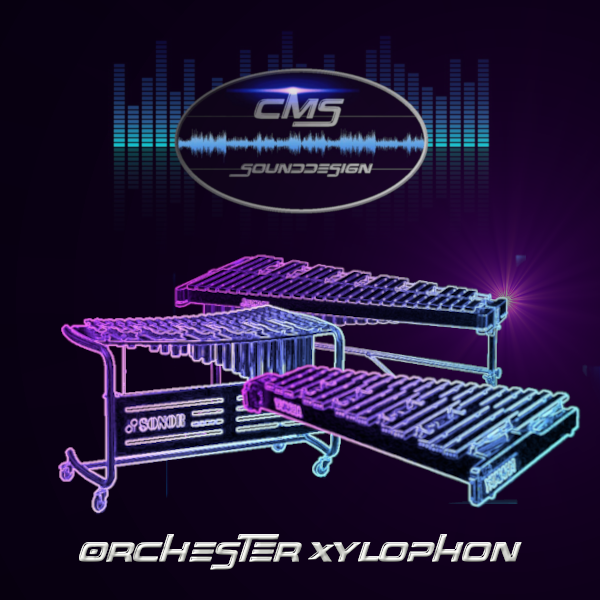 CMS Orchester Xylophon